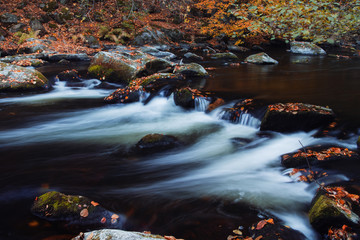 Fototapeta na wymiar Blurry motion of a blue mountain river with autumn color tones leaves. Bode Gorge (Bodetal), National Park Harz Mountains, Thale, Saxony-Anhalt in Germany