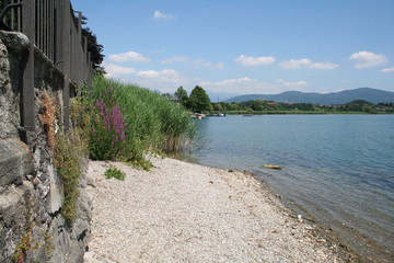 Prospettiva sul lago