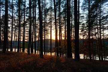 Obraz premium Jezioro Żur, Bory Tucholskie