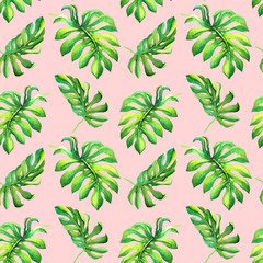 Watercolor illustration with green tropical monstera leaves on pink background. Seamless summer floral pattern with foliage for decoration, wrapping paper design, fashion fabric print, card, banner