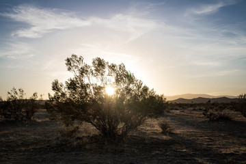 Fototapeta na wymiar Sunset in the Desert – 3