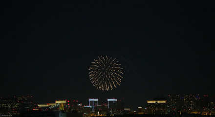 割物 菊 東京の夜景に打ち上がる花火