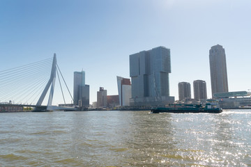Rotterdam port modern skyline at sunny summer day, Netherlands