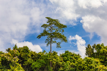 Beautiful holiday day in Khao Sok National park,Suratthani,Thailand