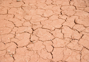 dry cracked earth