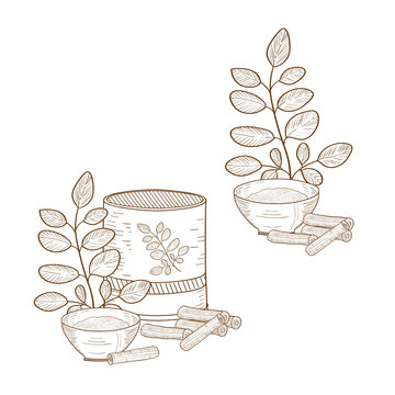 Morinda. Sketch. Solid color pattern. Set