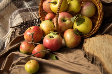 Apples scattered from wicker basket.