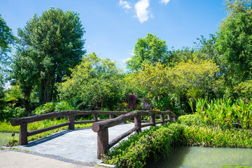 Fototapeta na wymiar Beautiful tropical garden in summer - green nature concept