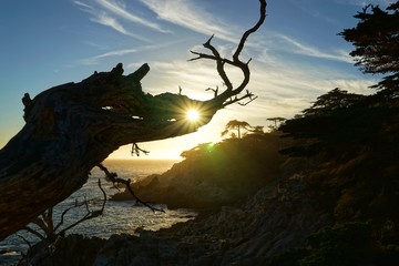 Sonnenuntergang am Pazifik | Küste Kalifornien | USA