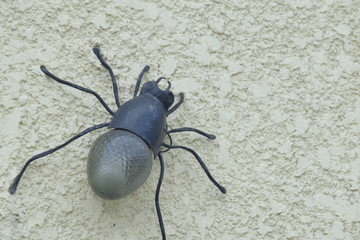 beetle - 228878650