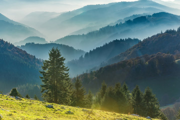 Scenic mountain landscape. View on Black Forest in Germany, covered in fog. Colorful travel...