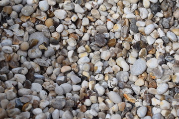 pebbles on the beach - 228879060