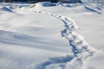 Fototapeta na wymiar Snowshoe path