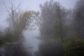 Obraz na płótnie Canvas Jesienna rzeka - 5 lat później