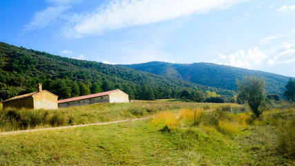 Naturaleza en el Pigalo Luesia en otoño