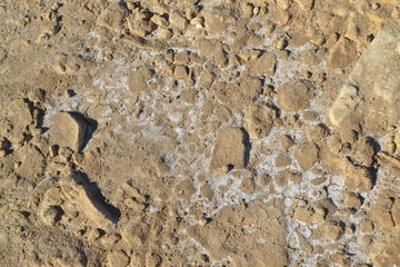 stone texture