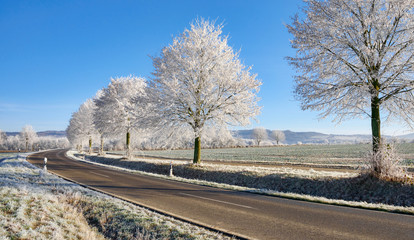 Country road and trees with hoarfrost in winter, Rhineland-Palatinate, Germany