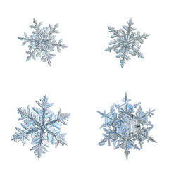 Four snowflakes isolated on white background. Macro photo of real snow crystals: elegant stellar dendrites with complex, ornate shapes, glossy relief surface, hexagonal symmetry and thin, long arms.