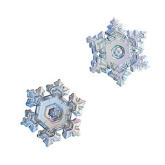 Two snowflakes isolated on white background. Macro photo of real snow crystals: elegant star plates...