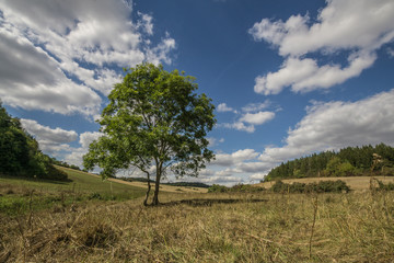 Landschaft im Herbst