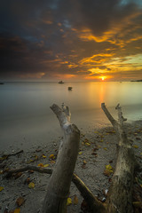 beautiful photos are from Mentawai island, Indonesia