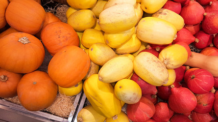 Naklejka na ściany i meble Variety of Colorful ornamental pumpkins, gourds and squashes in market for Halloween holiday
