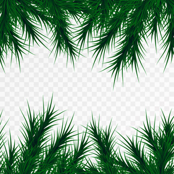 Vector christmas tree branches on white background. Pine tree decoration template. Christmas frame illustration, space for text.
