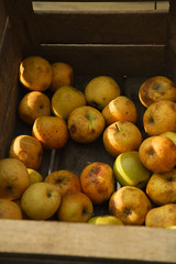 Fresh apples in wooden boxes on sale at the city market