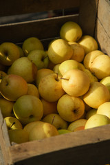 Fresh apples in wooden boxes on sale at the city market
