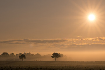 Sonnenaufgang auf dem Lande