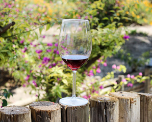 glass of red wine and grapes in vineyard
