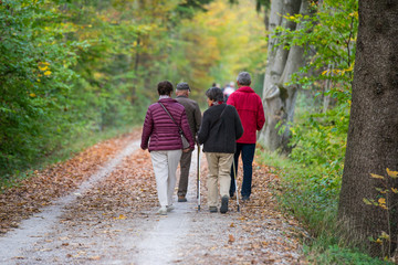 Kleine Vierer-Senioren-Gruppe bei der gemeinschaftlichen Herbstwanderung im Wald / im Park auf...