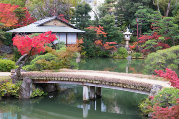 traditional Japanese park in autumn