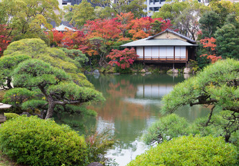 Fototapeta na wymiar traditional Japanese park in autumn