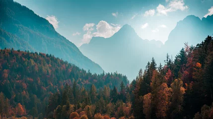 Poster Im Rahmen Schöne Berglandschaft mit Herbstwald. Alpenlandschaft - Julische Alpen © parabolstudio