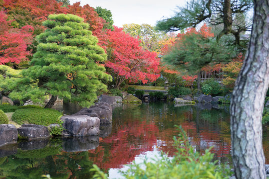 traditional Japanese park in autumn © Alex Petelin