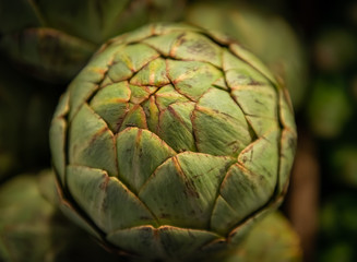 Fototapeta premium artichokes on green background