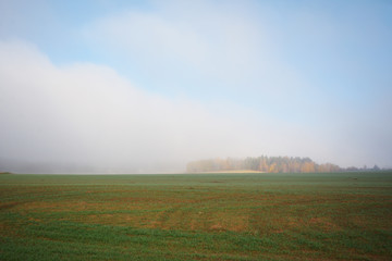 Obraz na płótnie Canvas Early morning. forest hiding in the fog.