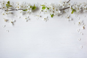 Background with flowering spring branches of plums, cherries