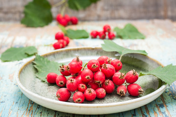 A handful of hawthorn berries with leaves on a plate on a rustic background