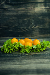 Tomatoes and salad on a dark background