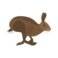 Running wild hare color vector icon. Flat design