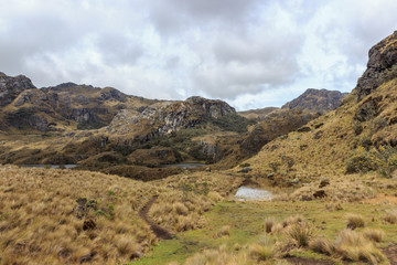 panoramic landscape of cajas national park, ecuador