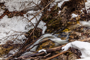 mountain stream in winter © Piotr_Kardas