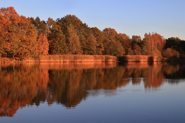 Beautiful autumn landscape at the pond. Colorful trees with blurred, out of focus reflection in the water.