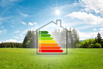 house in the green with energy efficiency graph