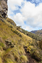 panoramic landscape of cajas national park, ecuador