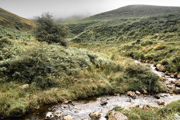 beautiful river in mountain pass Iraty, irau, basque country, france