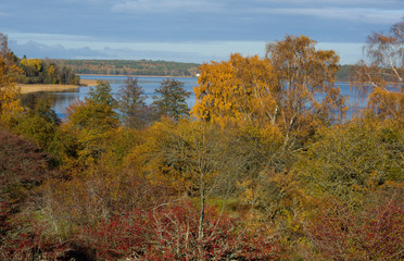 Fototapeta premium Viking burrial feld in Adelsö at lake Mälaren, Stockholm, a pale autumn day with blue sky and sea with clouds and orange leafs