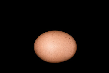 Single brown cage-free organic egg isolated on black background.